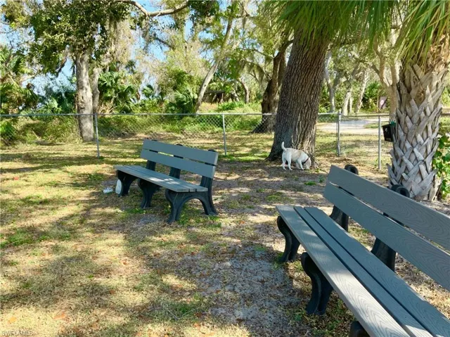 Shady "off leash" dog park.