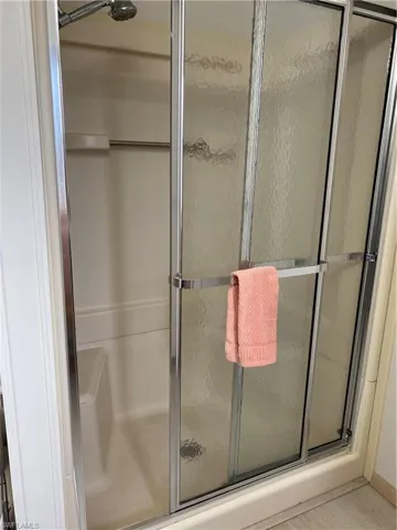Owner Step In Shower