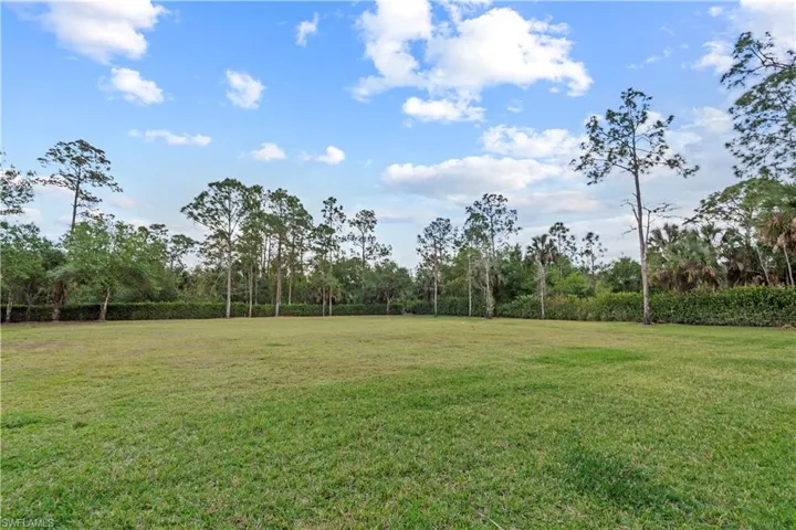 View of green lawn