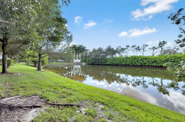 Water view