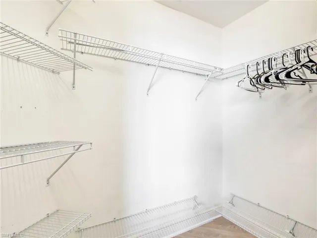 Spacious closet featuring wood-type flooring