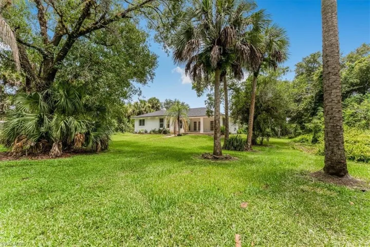 View of grassy yard
