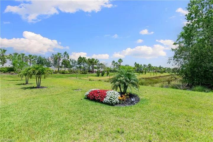 View of grassy yard