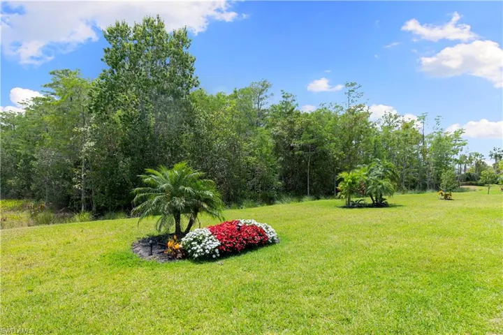 View of grassy yard