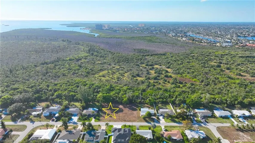Aerial perspective of suburban area featuring a nearby body of water and a forest