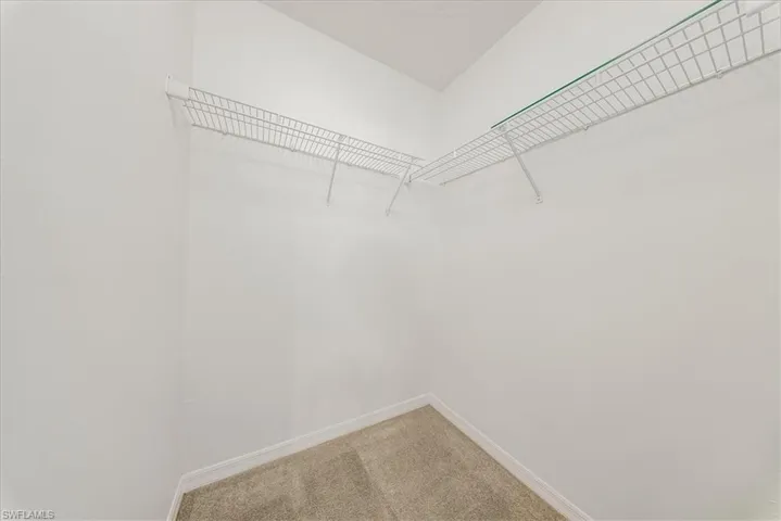 Walk in closet featuring carpet floors