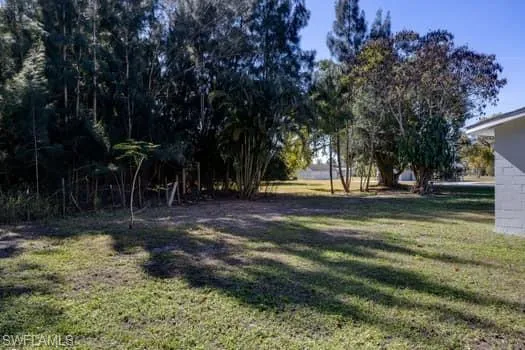 View of grassy yard