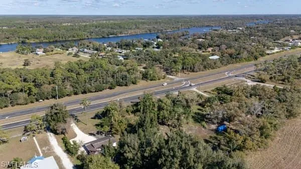 Bird's eye view of a large body of water and a forest