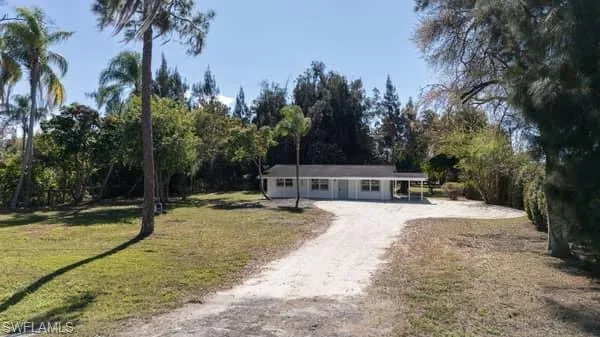 Ranch-style house featuring dirt driveway and a front lawn