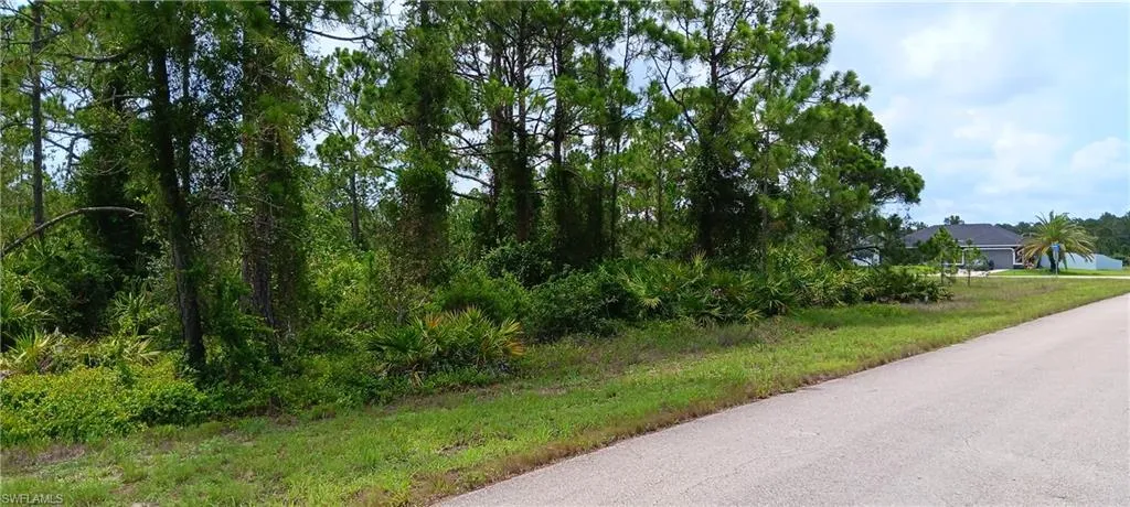 Lot side on Ferndale Ave S