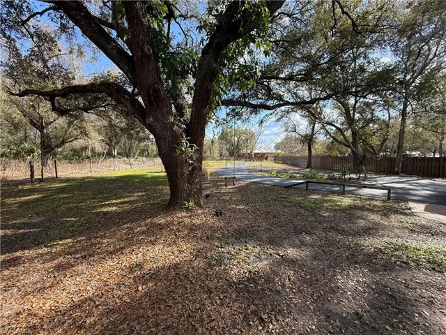 Front yard