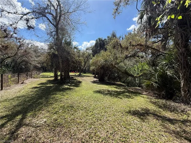 View of yard featuring view of scattered trees