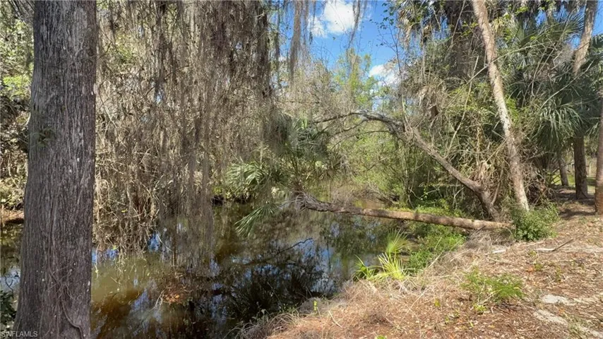 View of local wilderness with a large body of water