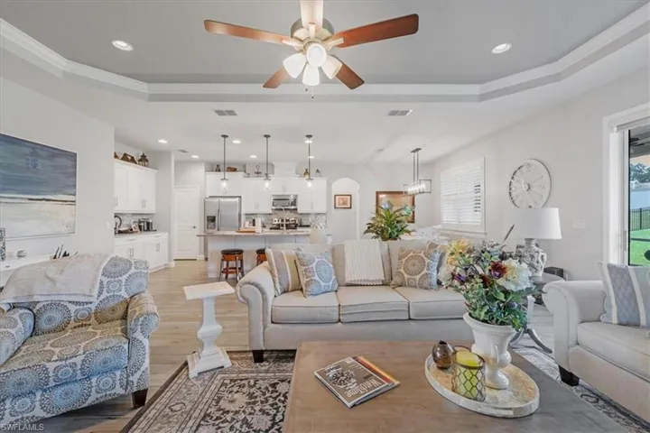 Living room featuring light hardwood / wood-style floors, a wealth of natural light, ceiling fan, and a raised ceiling