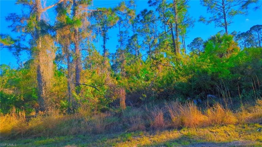 1120 Ravenswood ST E, LEHIGH ACRES FL 33974