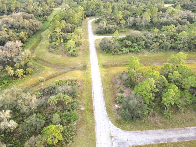 222  John Young  TER, LABELLE, FL 33935