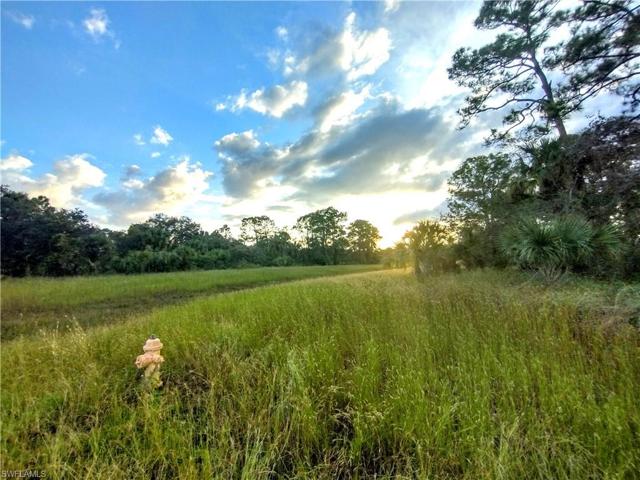 222  John Young  TER, LABELLE, FL 33935