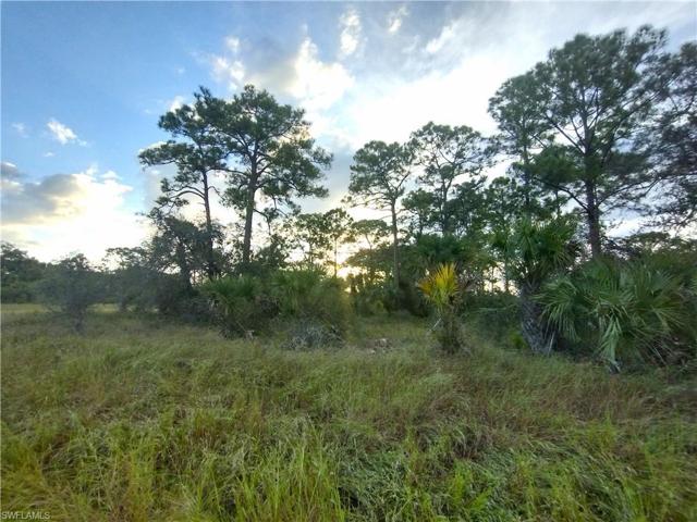 222  John Young  TER, LABELLE, FL 33935