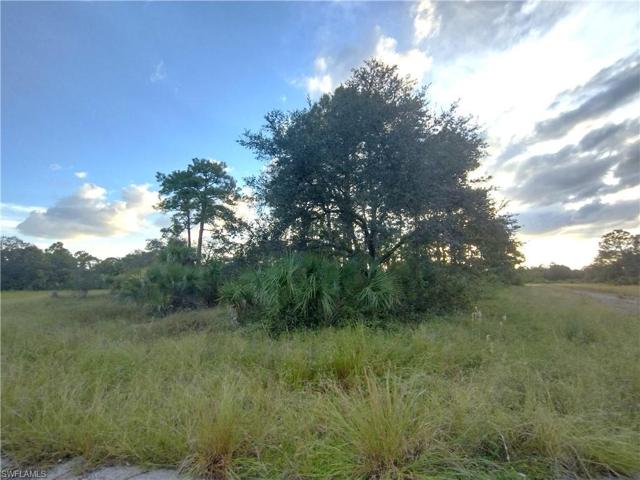 222  John Young  TER, LABELLE, FL 33935