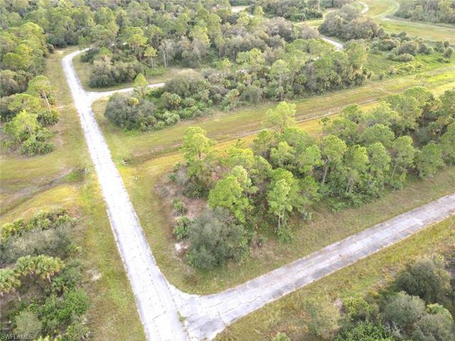 222  John Young  TER, LABELLE, FL 33935