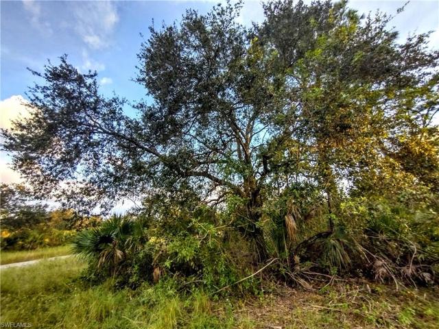 222  John Young  TER, LABELLE, FL 33935
