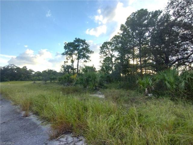 222  John Young  TER, LABELLE, FL 33935