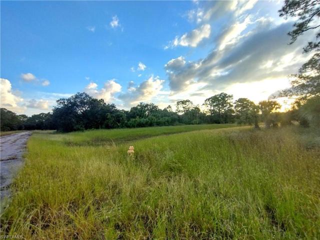 222  John Young  TER, LABELLE, FL 33935