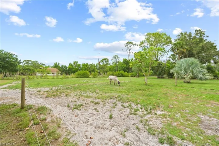 View of yard with a view of rural / pastoral area and view of wooded area