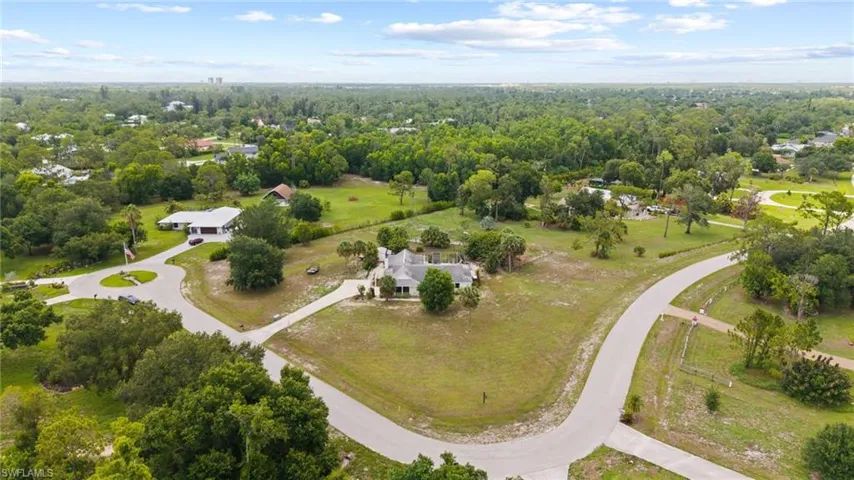 Aerial view of a forest