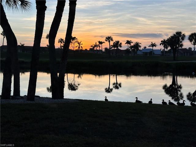 View from the back lanai