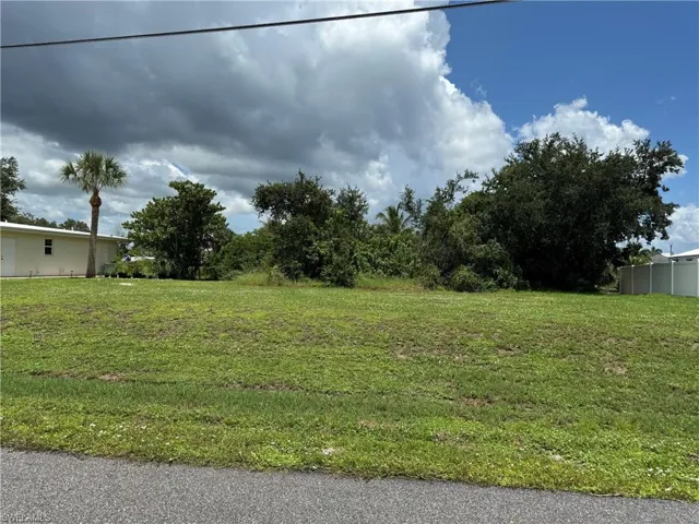 Expansive level lot with established green space and mature trees
