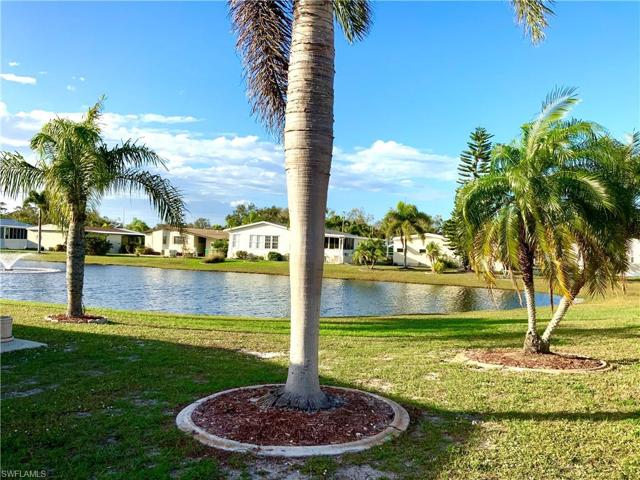 Left Pond View