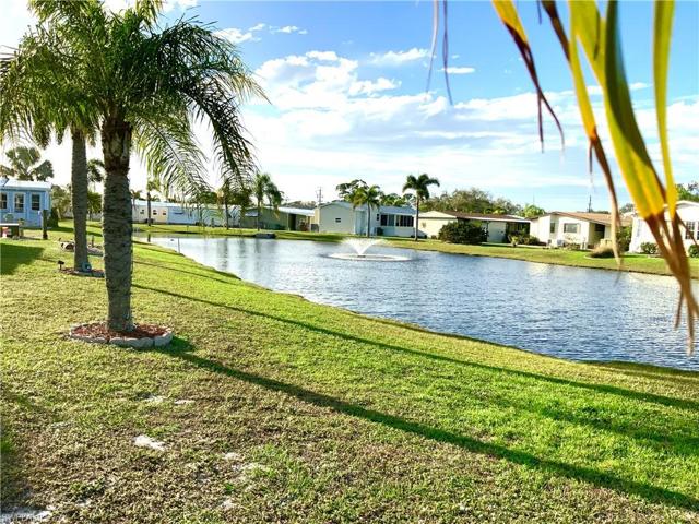 Backyard Pond View