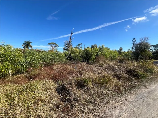 View of undeveloped land