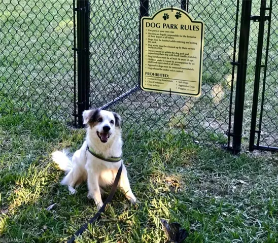 Dog_park_for_your_fur-baby