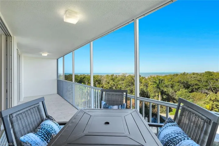 Screened Lanai view of gulf and Mangrove
