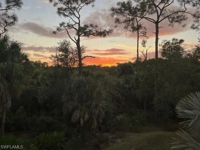 View of nature at dusk