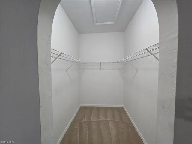Spacious closet with carpet floors