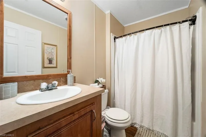 Bathroom with crown molding, hardwood / wood-style flooring, toilet, and vanity