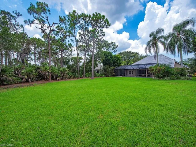 Oversized back yard!