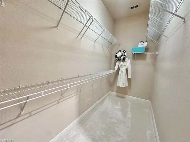 Walk in closet with carpet