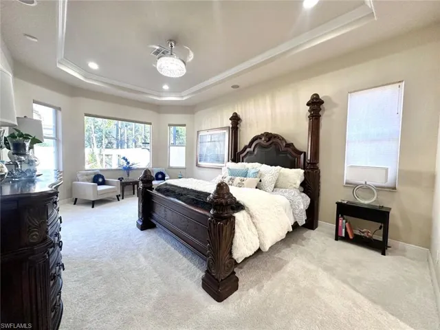 Bedroom featuring light colored carpet and a raised ceiling