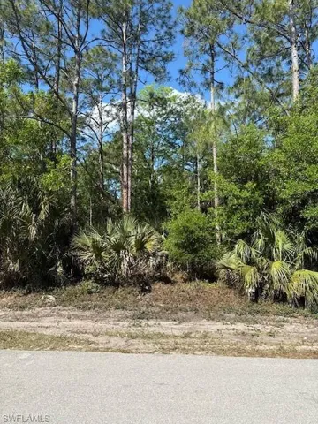 View of local wilderness