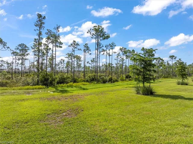 20488  Camino Torcido  LOOP, North Fort Myers, FL 33917