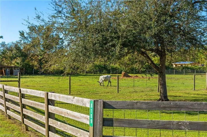Pasture