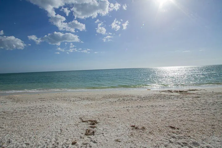 3310 Riverpark Ct, Bonita Springs, Florida 34134