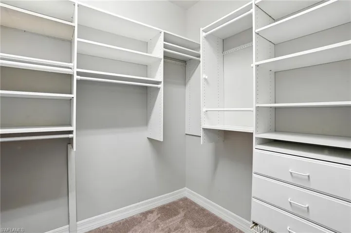 Spacious closet featuring light carpet