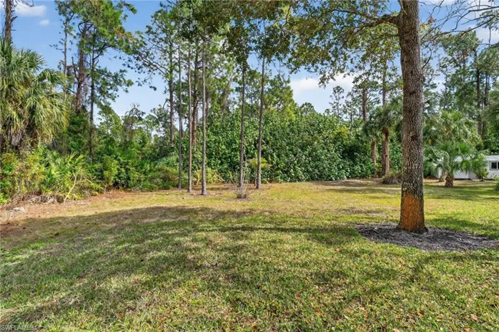 View of green lawn