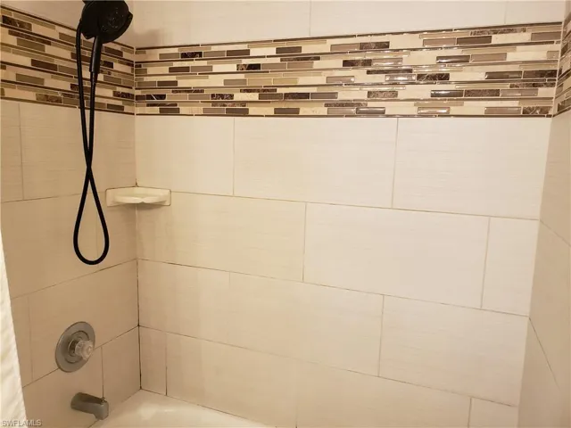 Master tub and shower