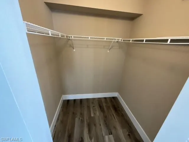 Walk in closet featuring dark hardwood / wood-style flooring